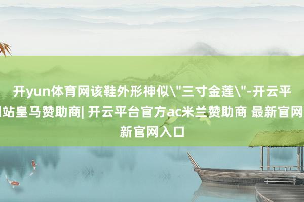 开yun体育网该鞋外形神似