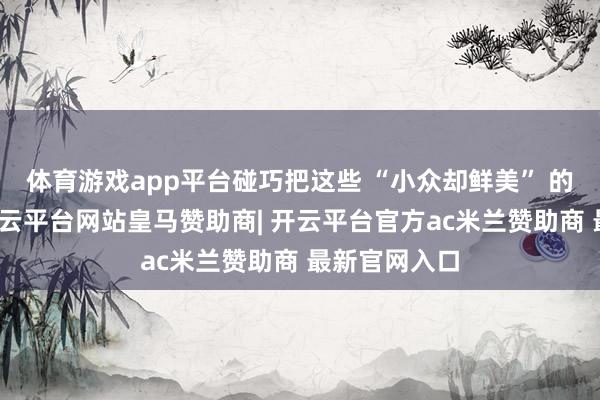 体育游戏app平台碰巧把这些 “小众却鲜美” 的历史切面-开云平台网站皇马赞助商| 开云平台官方ac米兰赞助商 最新官网入口