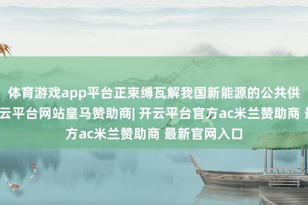 体育游戏app平台正束缚瓦解我国新能源的公共供应链上风-开云平台网站皇马赞助商| 开云平台官方ac米兰赞助商 最新官网入口